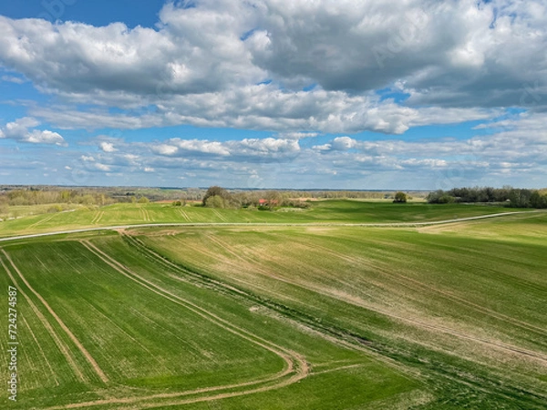 Obraz landscape with field and blue sky