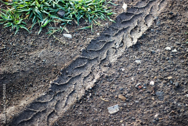 Fototapeta Motorcycle tire tracks on wet ground
