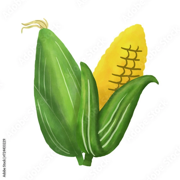 Obraz 栄養素単品＿とうもろこし