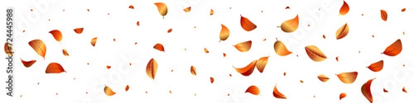 Obraz Forest Foliage Motion Vector White Panoramic