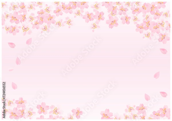 Fototapeta 桜の花が美しい春の桜フレーム背景25桜色