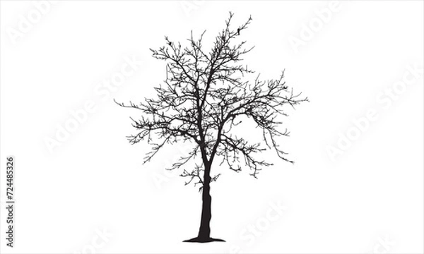 Obraz Tree with brunch  silhouette Vecto9r art wark design element Concepts