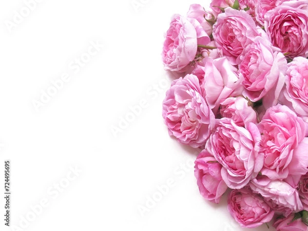 Obraz White background with pink roses on the side