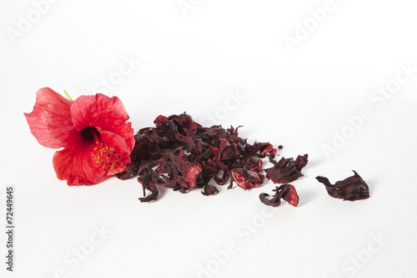 Obraz Malventee mit Hibiskusblüte
