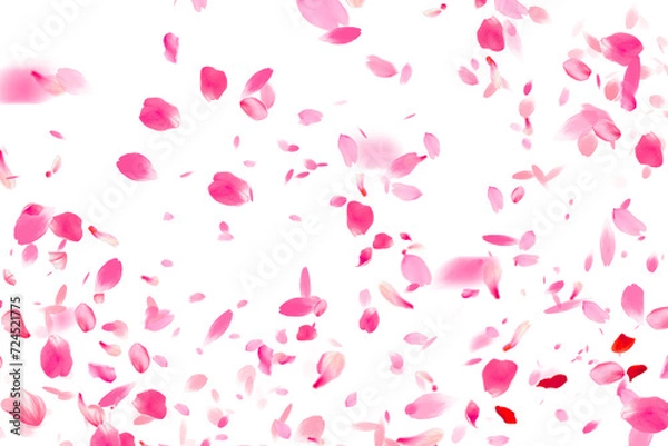 Fototapeta Sakura patern transparent