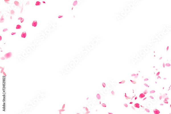 Obraz Sakura patern transparent