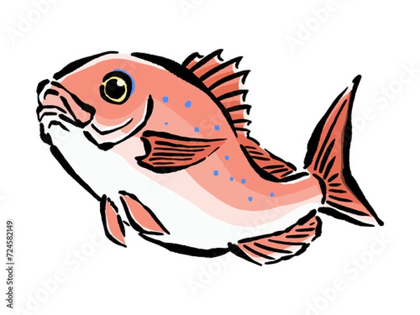 Obraz 跳ねる桜鯛の手書きイラスト素材