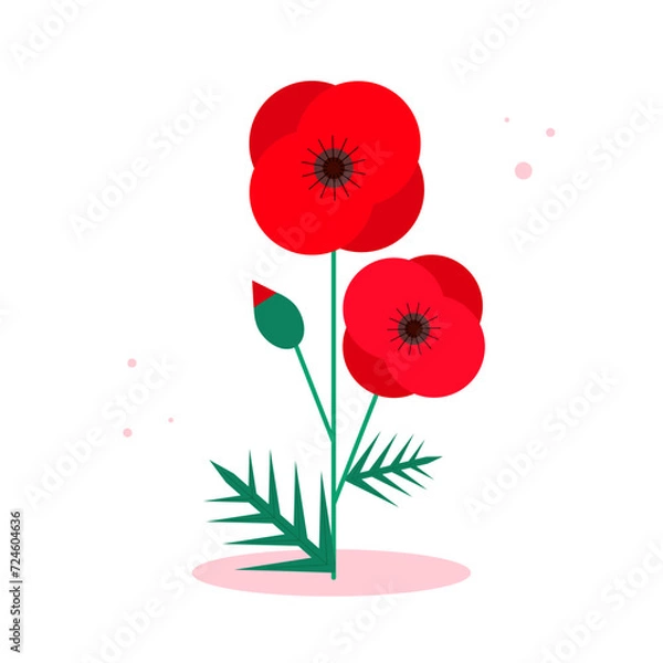 Obraz fleurs de coquelicots géométriques