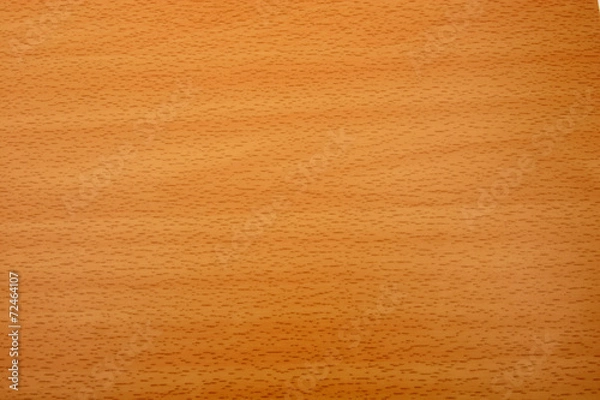 Obraz Beech wood grain texture