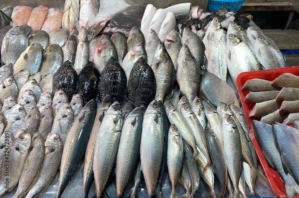 Fototapeta 市場の魚