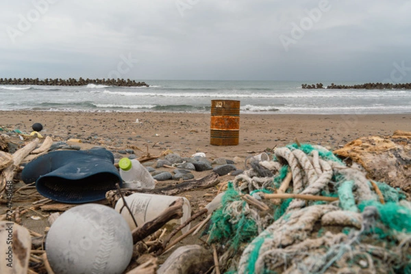 Fototapeta 海岸のゴミの王