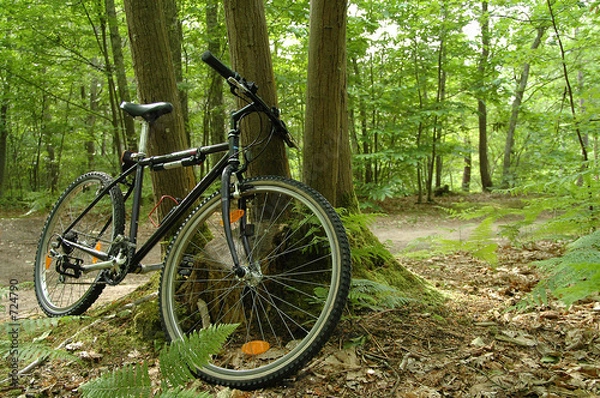 Obraz rower górski w drodze