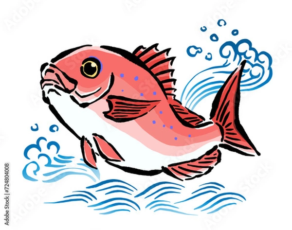 Obraz 鯛と波の手書きイラスト素材　跳ねる鯛　筆・和風