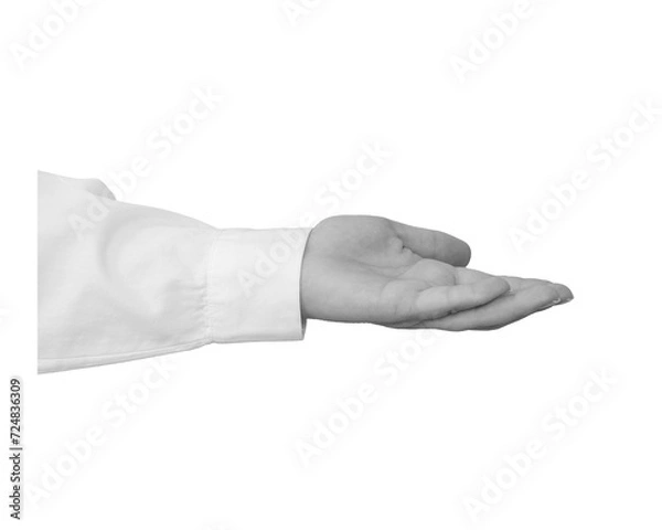 Fototapeta Black and white hand in a white shirt holds something isolated on white background - element for collage