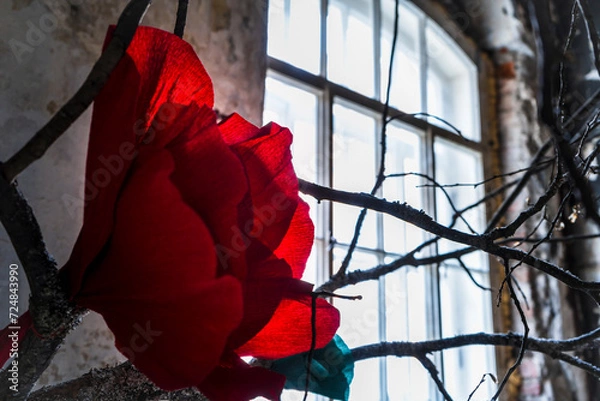 Obraz red rose in the wind