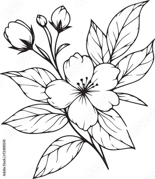Fototapeta Jasmine flower coloring book hand drawn botanical spring elements bouquet of jasmine flower line art, coloring page, vector sketch, artistic simplicity doodle art, Easy yellow jasmine flower drawing