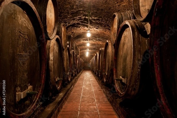 Obraz Barrels in a hungarian Wine cellar