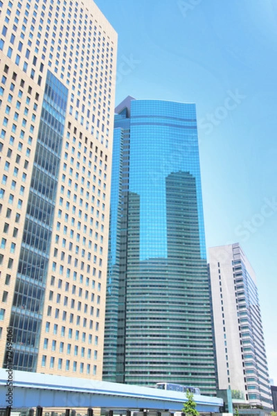 Fototapeta ゆりかもめ