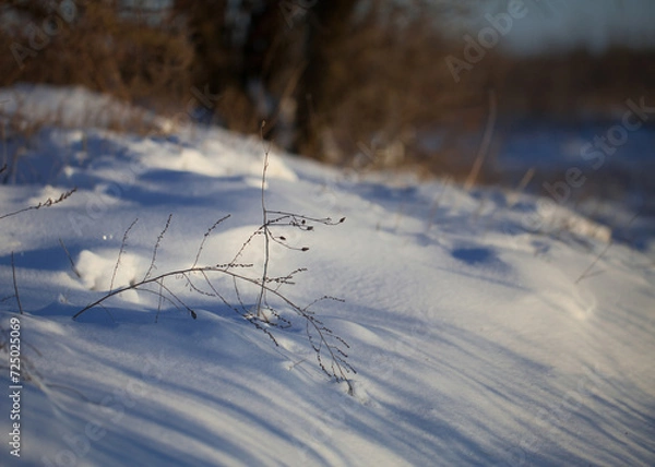 Obraz Winter chilly landscape in the field