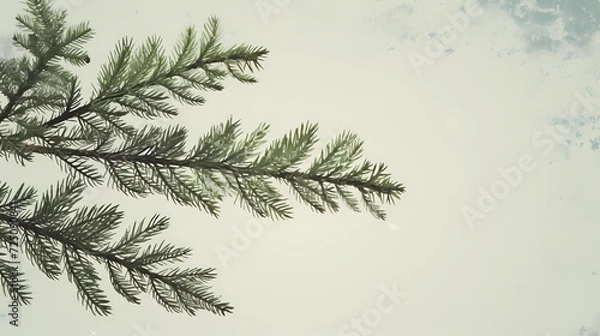 Fototapeta seamless background with coniferous branches pattern, coniferous, fir, 