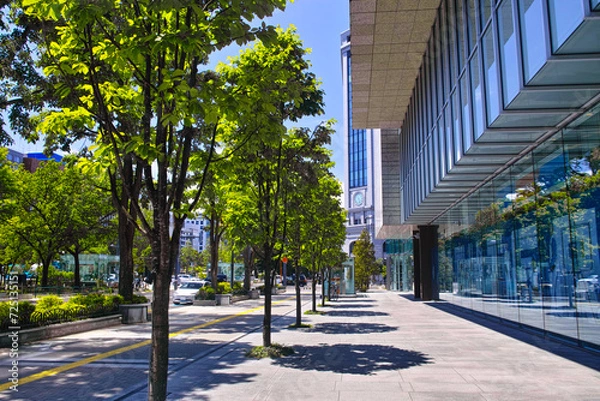 Obraz 新緑の都会のオフィス街
