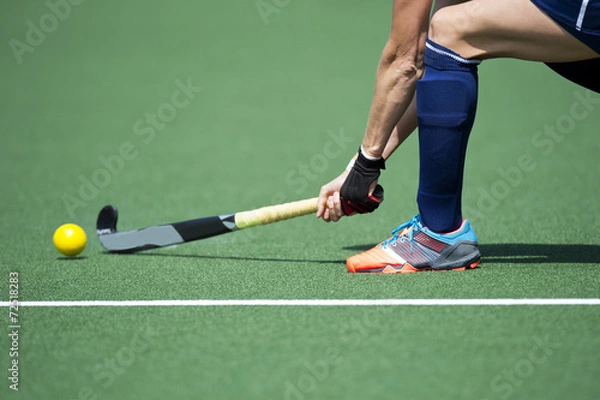 Obraz Field Hockey Passing