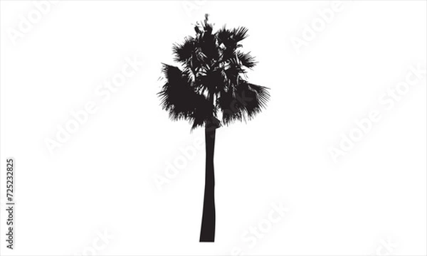 Obraz Palm Tree silhouette vector artwork design element