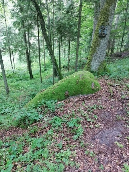 Obraz Nature. Mossy stone.