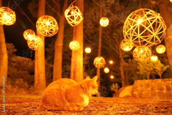 Fototapeta 猫と鞠灯篭　黒川温泉　湯あかり