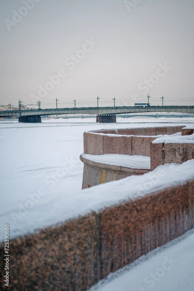 Fototapeta The bridge in St. Petersburg