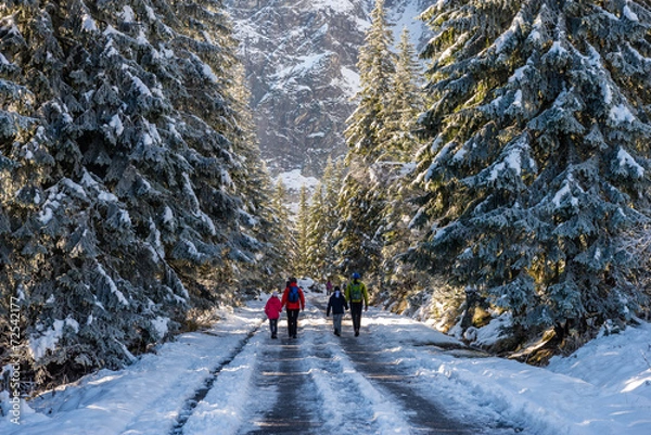 Fototapeta Droga przez las w górach
