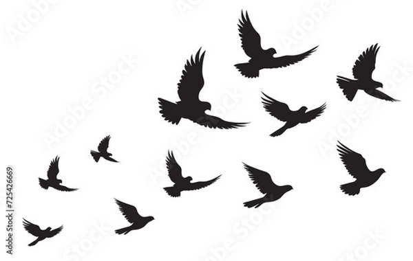 Obraz Silhouettes of flying pigeons on white background. Vector illustration.