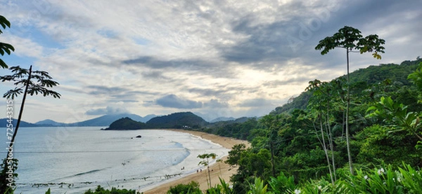 Obraz wonderful beach vita on the brazilian coast in ubatuba