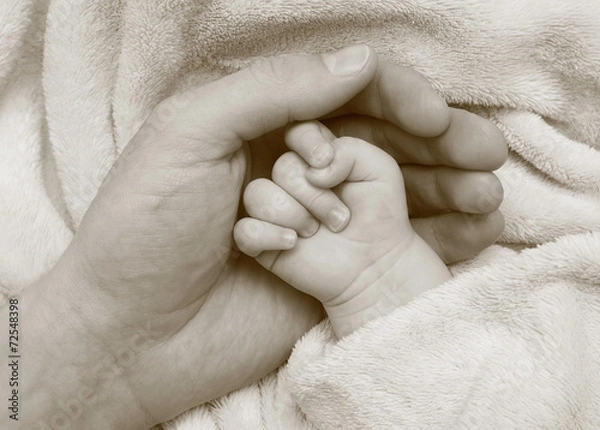Obraz Father hold baby hand in the palm