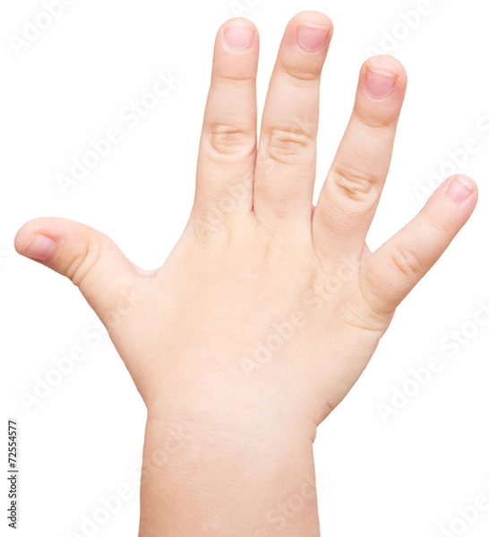 Fototapeta baby hand