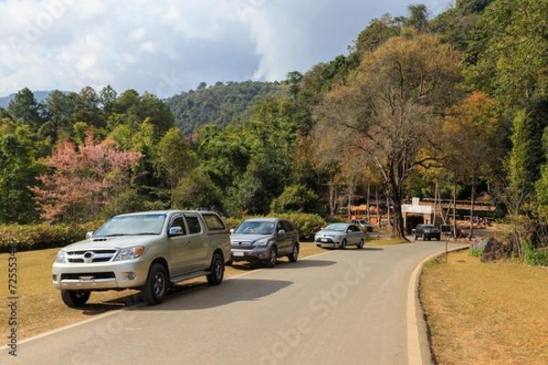 Obraz roadside nature