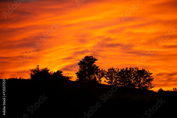 Fototapeta The trees on the mountain in the background are the orange evening sky.