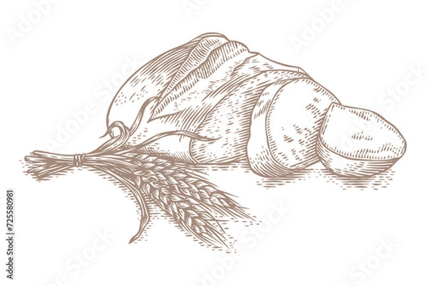 Obraz Drawing of white bread and wheat spikelets
