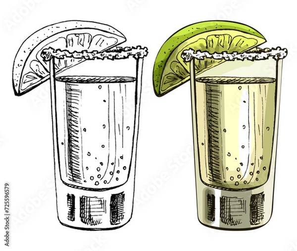 Fototapeta Glass tequila with slice lime. Vector vintage hatching