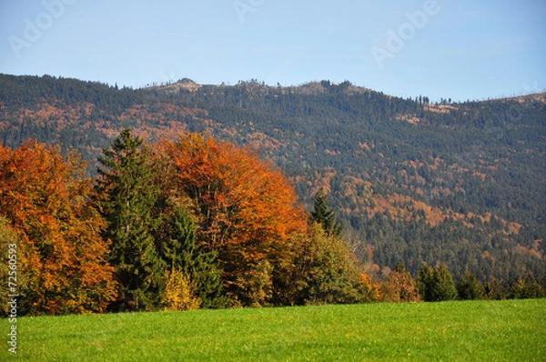 Fototapeta Dreisessel