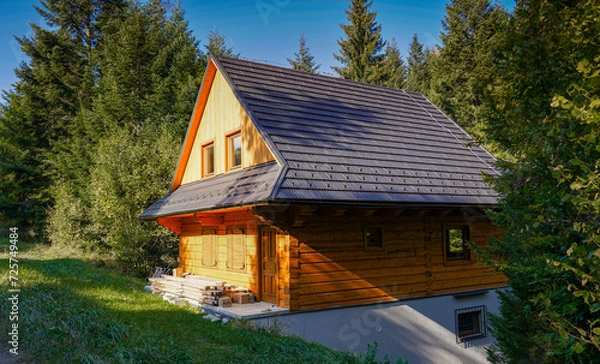 Obraz Post and Beam Home in forest