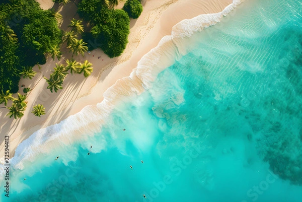 Fototapeta Tropical beach landscape featuring palm trees, waves, and a picturesque horizon under a sunny sky