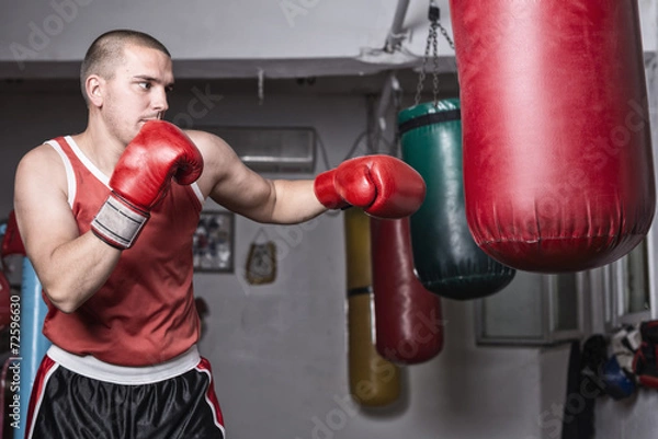 Obraz boxer training