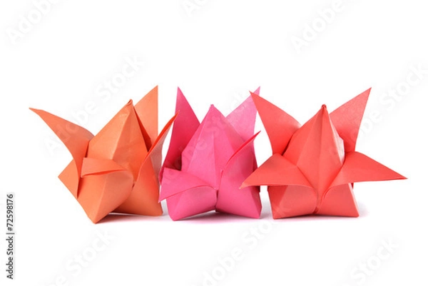 Obraz Origami tulip over white