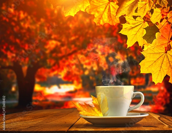 Obraz cup coffee and autumn forest