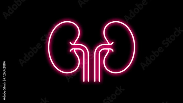 Fototapeta Neon kidney icon in a line style for humans. kidney-line symbol. Internal organs in neon style. Elements of Medicine in neon icons. Simple icon for websites, web design.