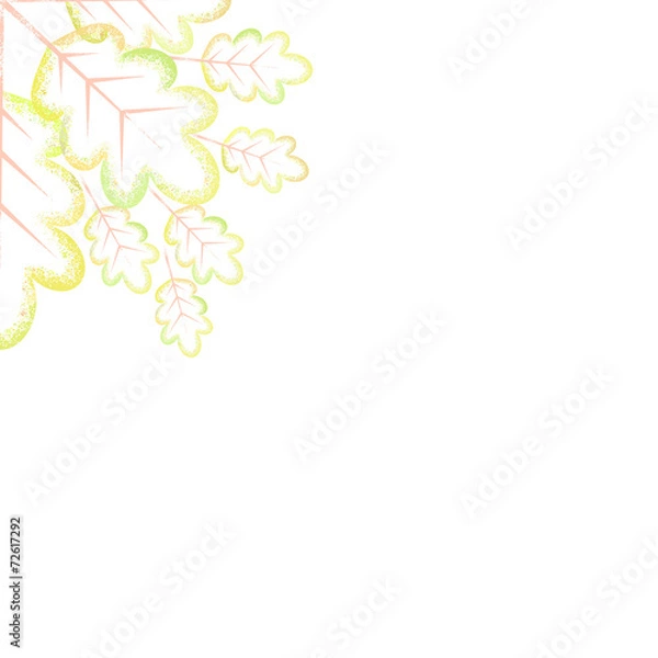 Fototapeta Delicate floral frame