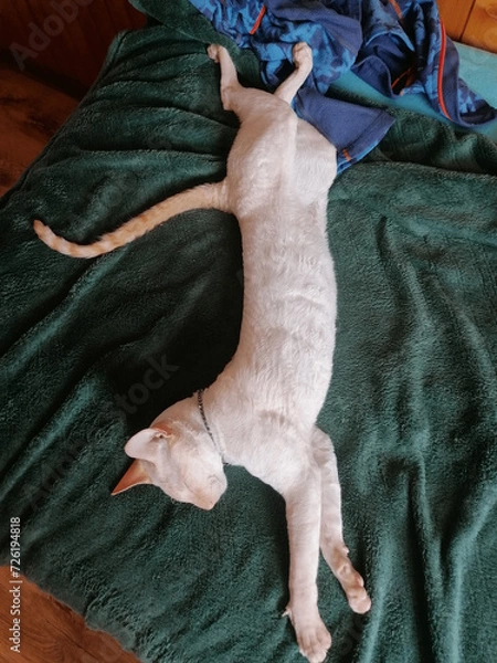 Obraz A break from speculation...