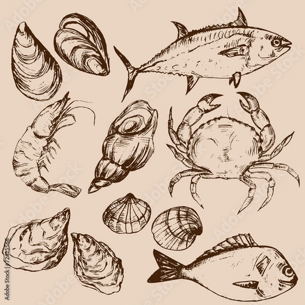 Fototapeta Hand drawn seafood, vector illustration