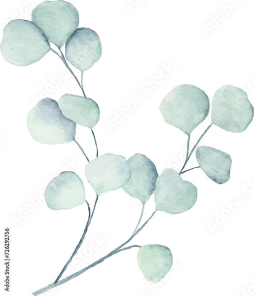 Obraz Watercolor eucalyptus leaves